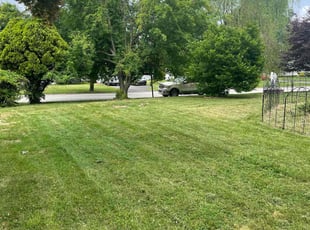 Kenneth P.'s lawn maintenance service result