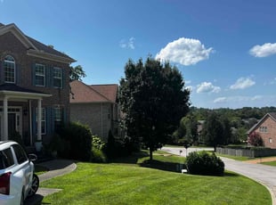 David B.'s grass cutting service result