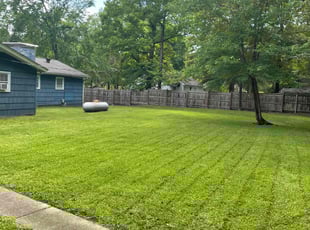 Josh G.'s lawn maintenance service result