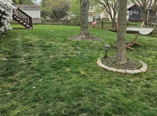 Angie S.'s lawn maintenance service result