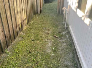 Joan G.'s Long Grass Cleanup service result