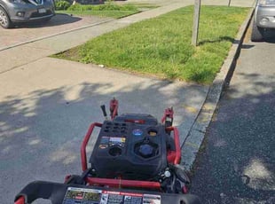 Jay T.'s turf care service result