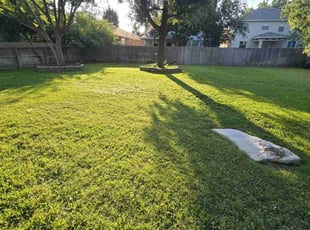 Neftalí F.'s turf maintenance service result