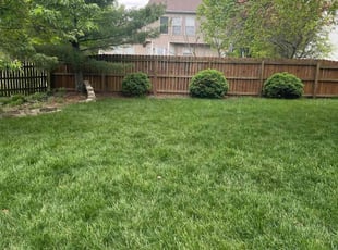 Martha K.'s lawn maintenance service result