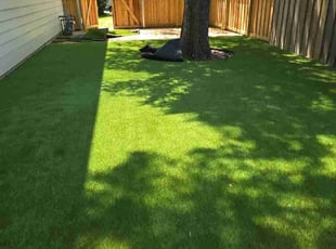 David D.'s Leaf Removal service result