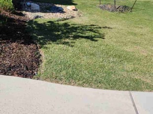 Victor B.'s lawn care service result