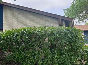 Monroe L.'s Bush Trimming service result