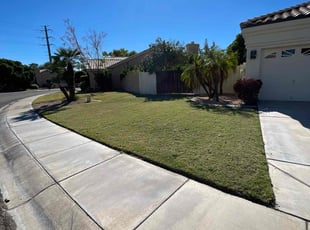 Kip S.'s lawn maintenance service result