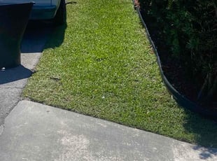 Preston E.'s lawn maintenance service result