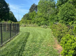 Donald H.'s lawn care service result