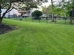 Joy S.'s grass cutting service result