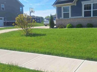 Walter H.'s grass cutting service result