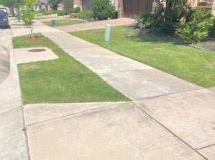 John L.'s grass maintenance service result