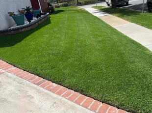 Jesse V.'s lawn service service result