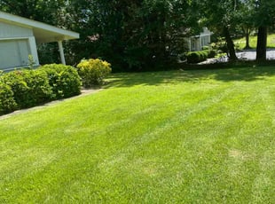 Jay B.'s lawn care service result