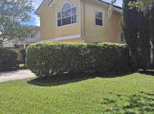 Brendan H.'s Bush Trimming service result