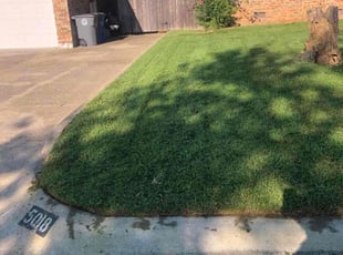 Mark J.'s turf maintenance service result