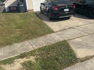 Courtney N.'s turf maintenance service result