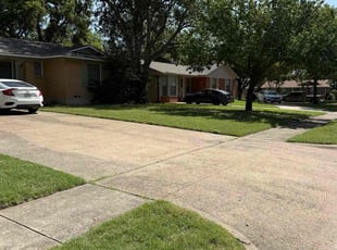 Terri B.'s lawn service service result