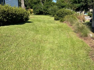Jason L.'s lawn service service result