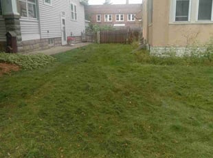 Chas A.'s lawn care services service result