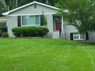 David T.'s grass maintenance service result