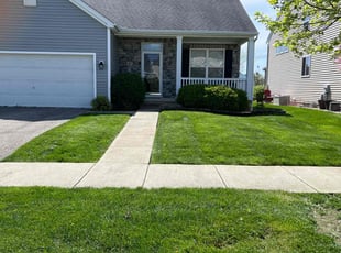 Naresh V.'s turf care service result