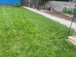 Jordan M.'s grass cutting service result