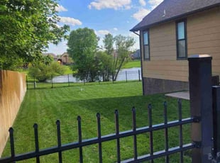 Sam J.'s turf care service result