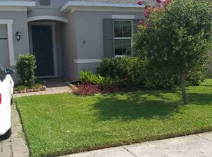Nikita L.'s turf maintenance service result