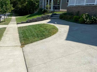 Stacy N.'s grass cutting service result