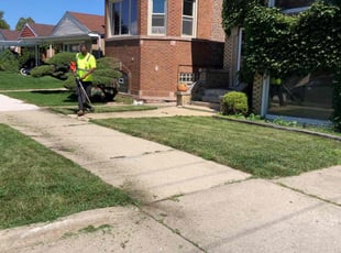 Courtney G.'s Bush Trimming service result
