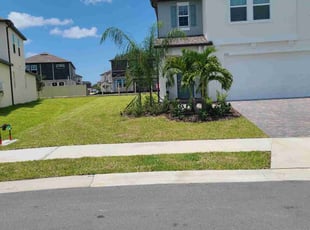 Diane G.'s grass cutting service result