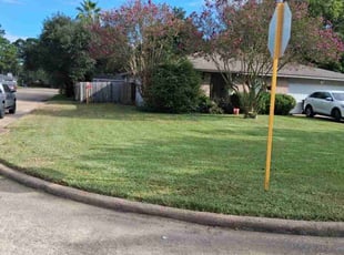 Jean J.'s grass cutting service result