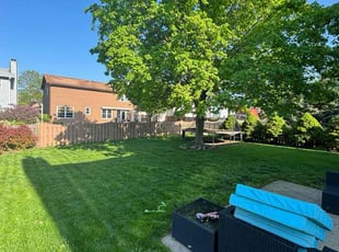 Abbas R.'s lawn maintenance service result