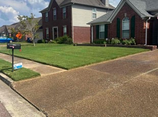 Pamela S.'s landscaping service result