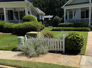 Rachelle W.'s turf maintenance service result