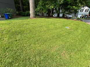 Paula M.'s lawn care services service result