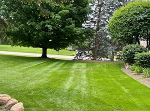 Andre B.'s lawn care services service result