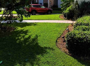 Katrina L.'s lawn care service result