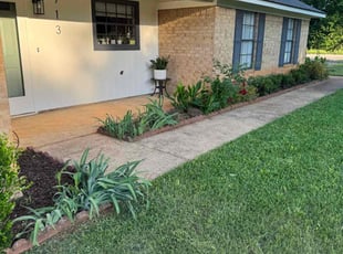 Marisol S.'s lawn care services service result