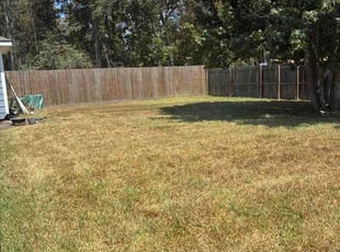 Shivani S.'s grass cutting service result
