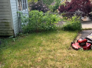 Joseph R.'s Bush Trimming service result