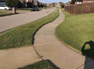 Robert P.'s turf care service result