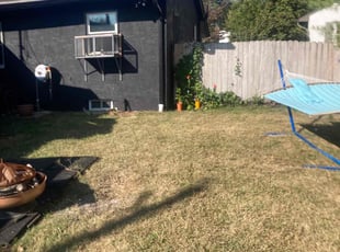 Jason S.'s lawn service service result