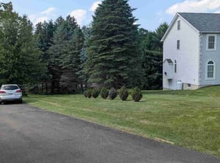 Mishu K.'s turf care service result