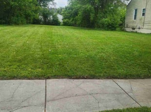 Claire B.'s turf maintenance service result