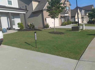 Luis C.'s turf maintenance service result