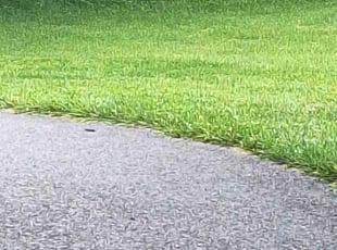 Christopher H.'s lawn service service result