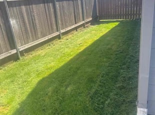 Sarah B.'s grass maintenance service result